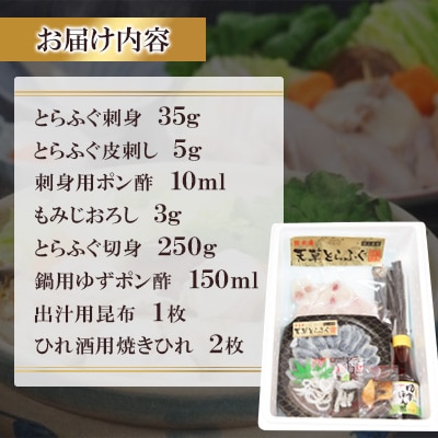 1日25セット限定!天草とらふぐてっさ・てっちりセット(1人前)(宇城市)