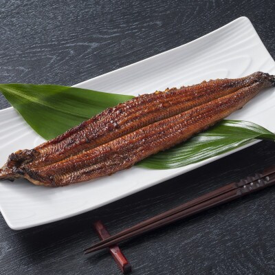 希少!数量限定!海水育ちの天草藍うなぎ　蒲焼き7～10尾セット(宇城市)