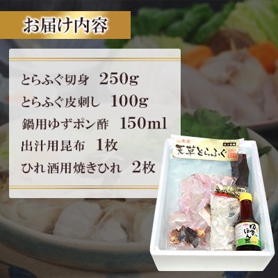 【毎月定期便】ふぐの王様!とらふぐ　国産最高級!天草とらふぐセット(宇城市)全2回