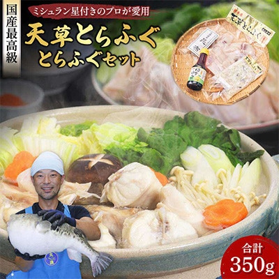 【毎月定期便】ふぐの王様!とらふぐ　国産最高級!天草とらふぐセット(宇城市)全3回