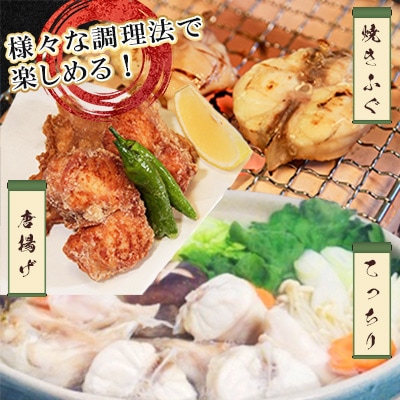 【毎月定期便】1日25セット限定!天草とらふぐてっさ・てっちり満腹セット(2人前)(宇城市)全2回
