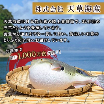 【毎月定期便】1日25セット限定!天草とらふぐてっさ・てっちり満腹セット(2人前)(宇城市)全3回