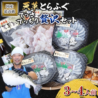 【毎月定期便】1日25セット限定!天草とらふぐてっさ・てっちり贅沢セット3～4人前(宇城市)全2回