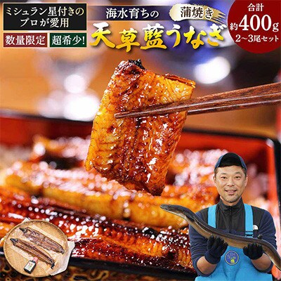 【毎月定期便】希少!数量限定!海水育ちの天草藍うなぎ 蒲焼き2～3尾セット全2回