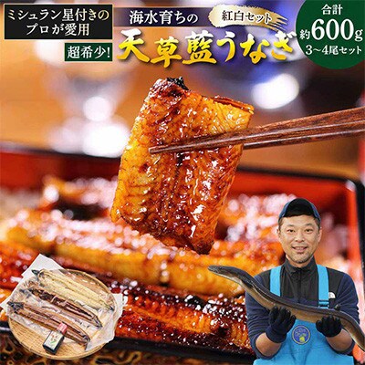 【毎月定期便】希少!海水育ちの天草藍うなぎ 紅白3～4尾セット(宇城市)全3回