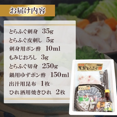 【毎月定期便】天草とらふぐてっさ・てっちりセット(1人前)(宇城市)全3回