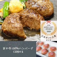 あか牛100%ハンバーグ 120g&times;6個(宇城市)