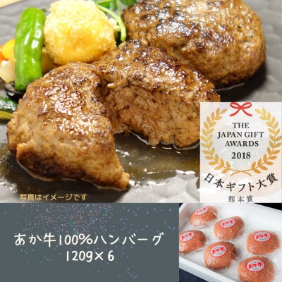 あか牛100%ハンバーグ 120g×6個(宇城市)