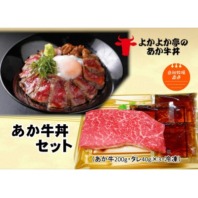あか牛丼セット(宇城市)