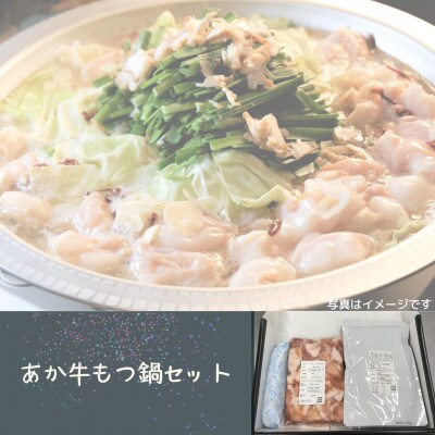 あか牛もつ鍋セット(宇城市)