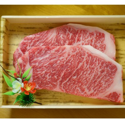 GI認証 くまもとあか牛サーロインステーキ 400g(200g×2枚)(宇城市)