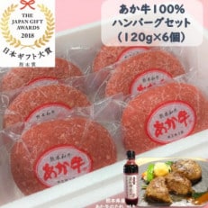 あか牛100%ハンバーグセット(あか牛ハンバーグ120g&times;6個 あか牛のたれ200ml)(宇城市)