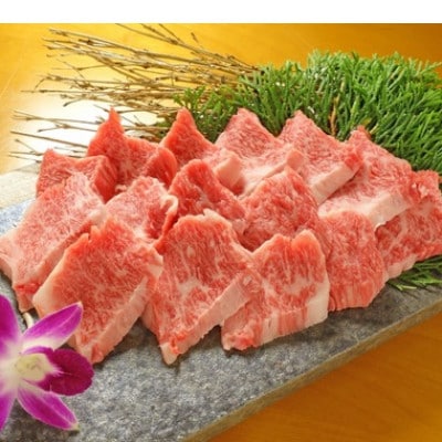 あか牛カルビ焼肉セット(あか牛バラカルビ400g あか牛のたれ200ml付き)(宇城市)