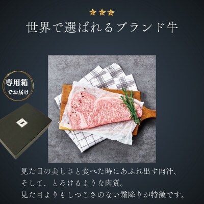 A4 A5等級 肉厚 サーロインステーキ 300g×1P 黒毛和牛 【杉本本店】(宇城市)