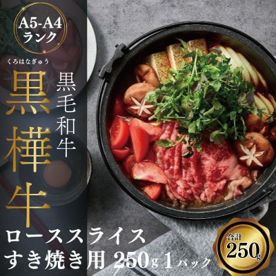 A4 A5等級 ローススライス すき焼き用 250g×1P 黒毛和牛 【杉本本店】(宇城市)