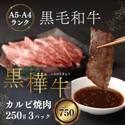 焼き肉 黒毛和牛 カルビ 計約750g(約250g×3P)【杉本本店】(宇城市)