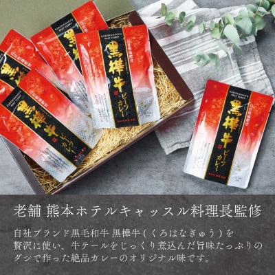 【TBS 「熱狂マニアさん!」で紹介】黒樺牛 ビーフカレー 1食200g×5個 合計1kg(宇城市)