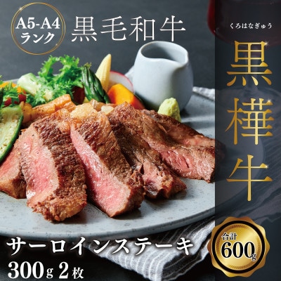 A4 A5等級 肉厚 サーロインステーキ 600g(300g×2P) 【杉本本店】(宇城市)