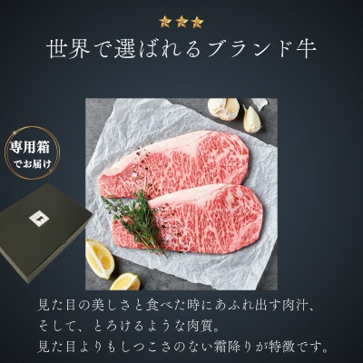 A4 A5等級 肉厚 サーロインステーキ 600g(300g×2P) 【杉本本店】(宇城市)