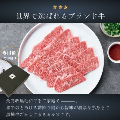 A4 A5等級 焼肉用カルビ 250g×1P 黒毛和牛 【杉本本店】(宇城市)