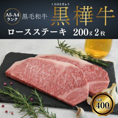A4 A5等級 ロースステーキ 400g(200g×2P)  黒毛和牛【杉本本店】(宇城市)