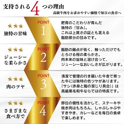 A4 A5等級 ロースステーキ 400g(200g×2P)  黒毛和牛【杉本本店】(宇城市)
