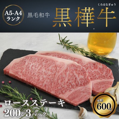 A4 A5 ロースステーキ 計600g (200g×3P)黒毛和牛 【杉本本店】(宇城市)