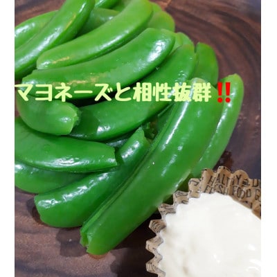 熊本県宇城市産スナップエンドウ【サラダスナップ1.2kg】　温室栽培!