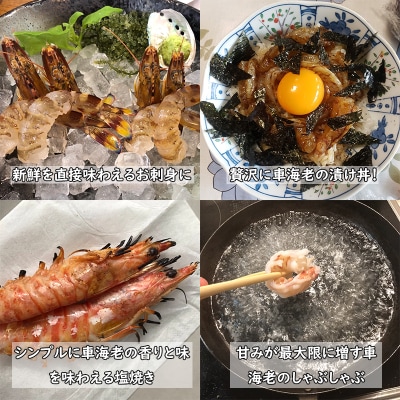 【特殊冷凍】車海老750g (大サイズ厳選品)(18~24尾)水揚げ即真空パック&瞬間冷凍で鮮度抜群
