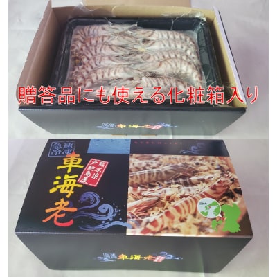 【特殊冷凍】車海老750g (大サイズ厳選品)(18~24尾)水揚げ即真空パック&瞬間冷凍で鮮度抜群