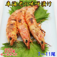 車海老の味噌漬け 250g (7~11尾)中～大サイズ 車えび