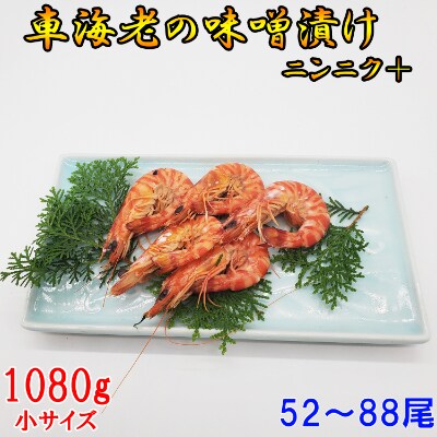 車海老の味噌漬けニンニク+ 1080g (52~88尾)小サイズ 濃厚な小さいサイズの 車えび