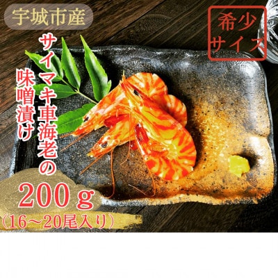 【超希少】車海老の味噌漬け 計200g (16～20尾)殻が薄く食べやすく濃厚な小さいサイズの車えび