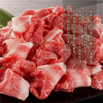 GI認証取得　くまもとあか牛　切り落とし 合計1kg(宇城市)