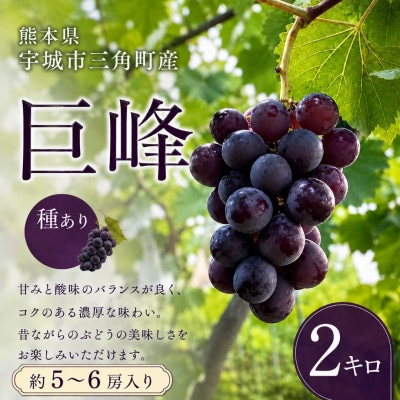 【先行予約】【数量限定】熊本県 宇城市産 巨峰 ぶどう 2kg 【みのだ農園】