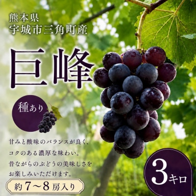 【先行予約】【数量限定】熊本県 宇城市産 巨峰 ぶどう 3kg 【みのだ農園】