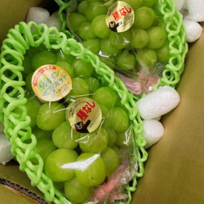 【先行予約】【数量限定】 シャインマスカット 1.5kg ぶどう 果物 フルーツ【みのだ農園】