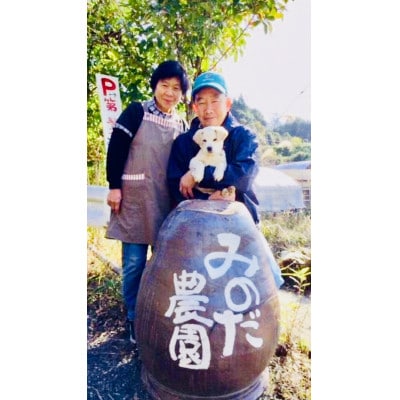 【さとふる限定】朝採れシャインマスカット 1kg(2房)