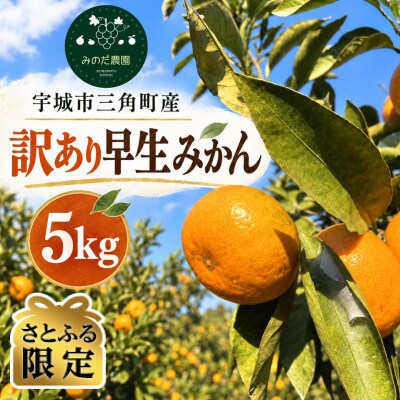 【さとふる限定】訳あり 早生みかん 5kg サイズ混合 ご家庭用 宇城市三角町