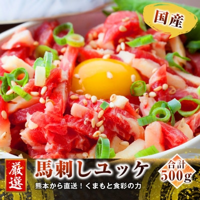 熊本直送　国産ブロック肉馬刺し赤身500g+ユッケ500gセット(宇城市)