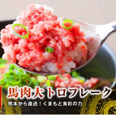 熊本直送　国産馬刺しブロック肉　上霜降り(トロ)300g+大トロフレーク200gセット(宇城市)