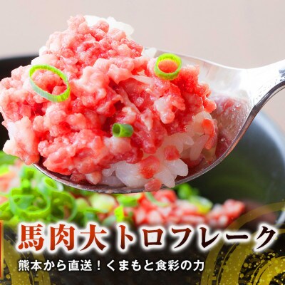 熊本直送　国産馬刺しブロック肉　上霜降り(トロ)400g+大トロフレーク300gセット(宇城市)