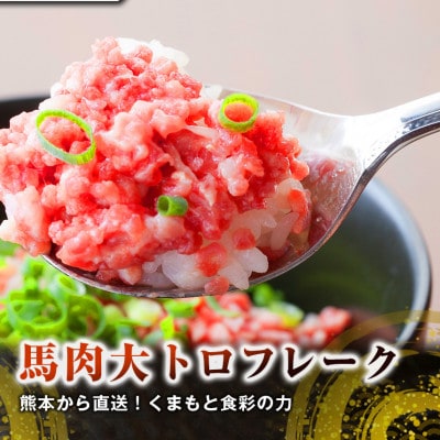 【国産馬刺し】熊本直送　上霜降り(トロ)200g+大トロフレーク100gセット(宇城市)