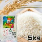 熊本県産　令和6年産 　精米  森のくまさん 　5キロ(宇城市)