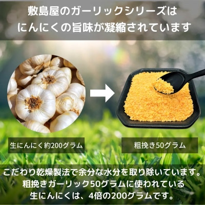 熊本県宇城市産 にんにくパウダー 【違いを楽しむ3点セット】 各50g(計150g)