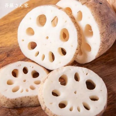 熊本県産 宇城市 レンコン 斉藤さん家の「生」れんこん　約2kg