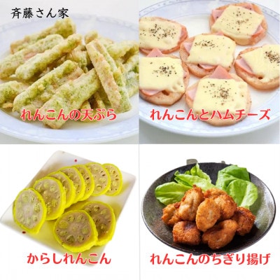 熊本県産 宇城市 レンコン 斉藤さん家の「生」れんこん　約2kg