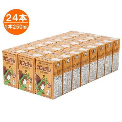 カフェ・オ・レ250ml×24本(宇城市)