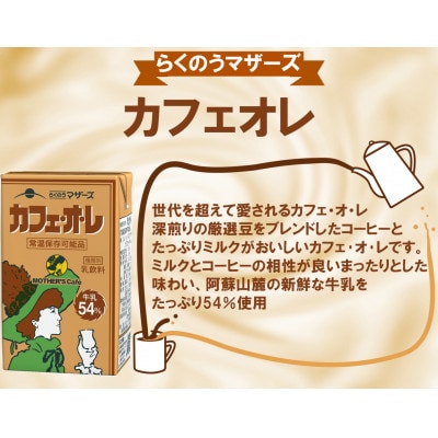 カフェ・オ・レ250ml×24本(宇城市)