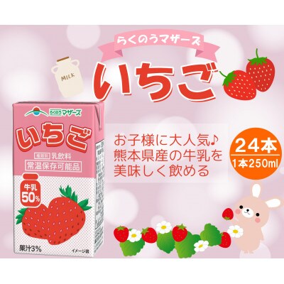 いちご250ml×24本(宇城市)